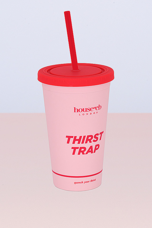 Pink Insulated Cup with Straw